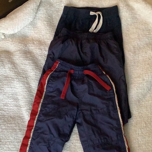 Boys splash plants - Picture 1 of 8